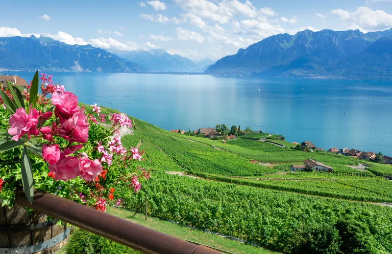 Viñedos de Lavaux junto al lago Lemán
