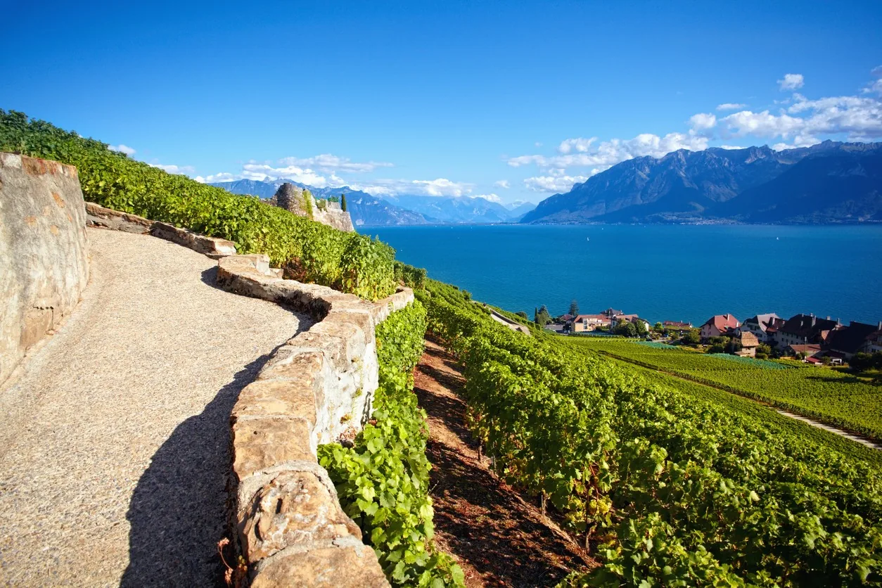 Sendero de piedra entre terrazas de viñedos de Lavaux, con vistas al lago Lemán